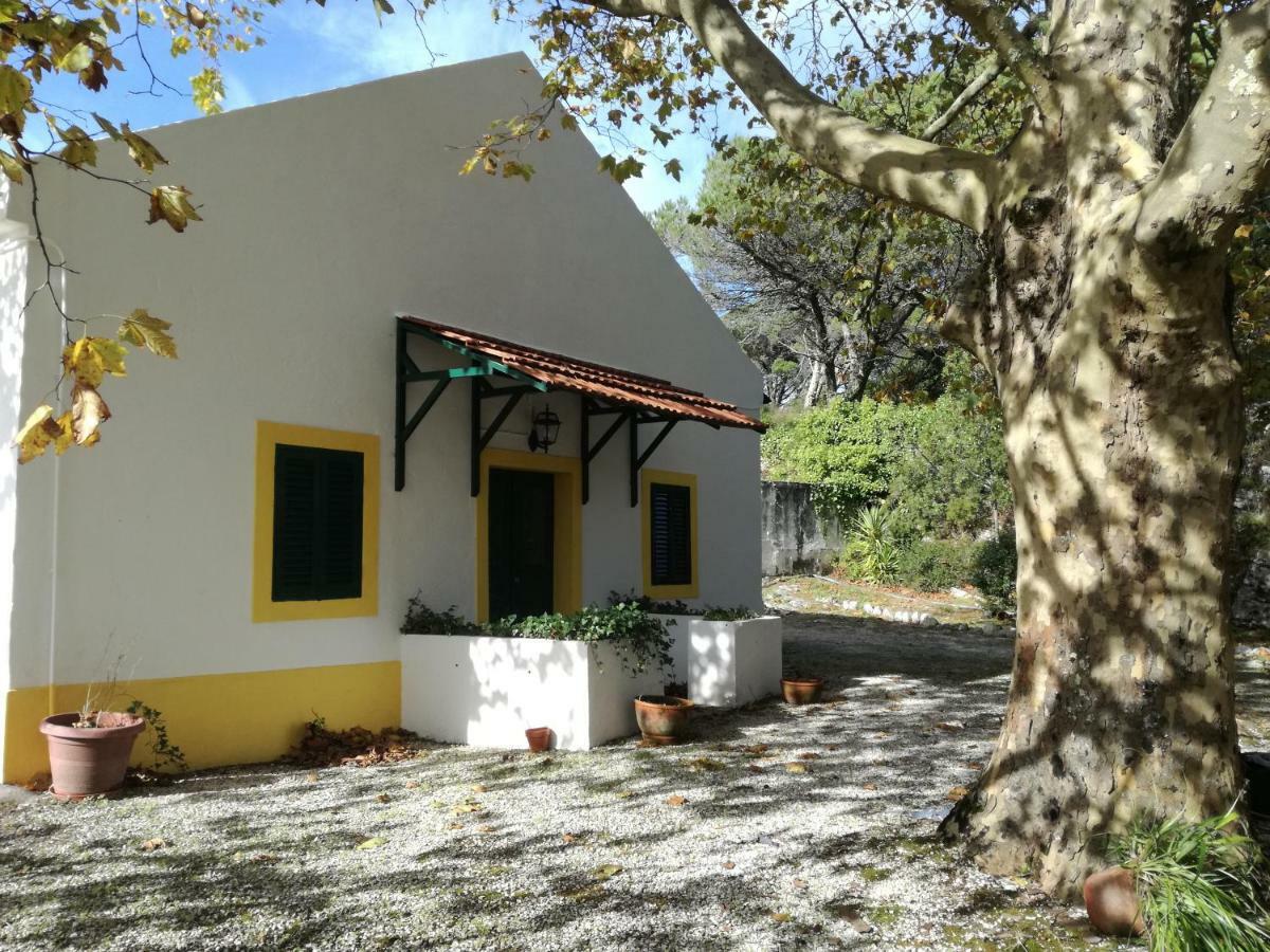 Montejunto Villas - Casa do Plátano Cadaval Exterior foto